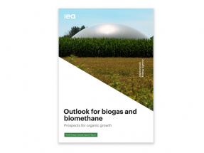 Agencia Internacional de la Energía: biogás y biometano podrían cubrir el 20% de la demanda mundial de gas