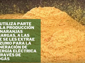 Las naranjas amargas facilitan el autoconsumo con biogás de las depuradoras de Sevilla