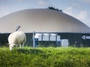 La industria europea del biogás rechaza la propuesta de biocarburantes de la CE