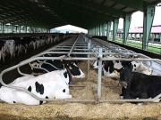 Bet Solar muestra en la Universidad Politécnica de Valencia soluciones fotovoltaicas en agricultura y ganadería