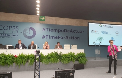 Tras la estela de la apuesta por la bioenergía contra el cambio climático dejada por la COP25