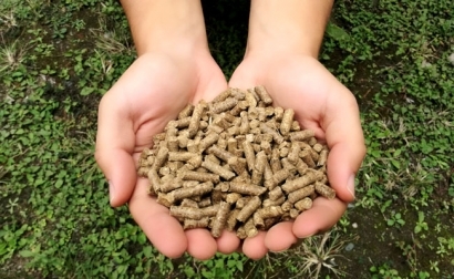 Procesan residuos de caña de azúcar en Argentina para producir pellets