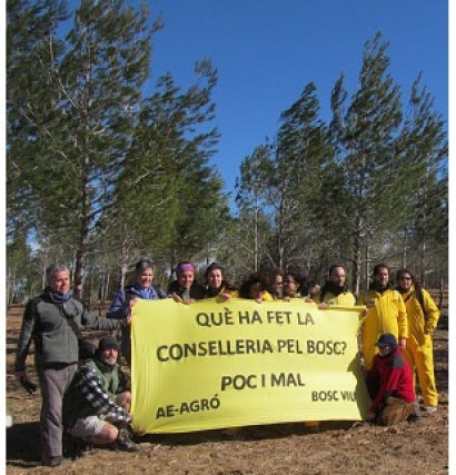 Denuncian la concentración de ayudas para biomasa forestal en la Comunidad Valenciana