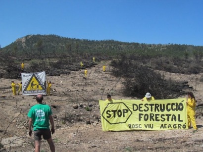 Agró denuncia ante la UE abusos en la extracción de biomasa forestal en la Comunidad Valenciana