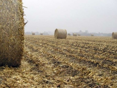 San Luis releva su biomasa y apunta al biogás