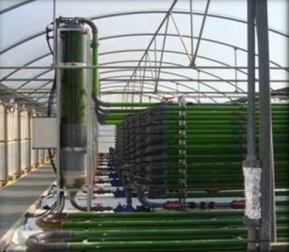 Planes para una planta de biogás a partir de algas