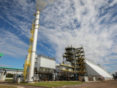 Conectada la mayor planta de producción de electricidad con cáscara de maní