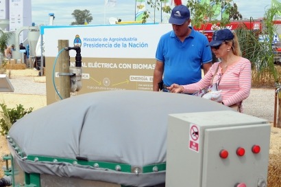 Crean un programa para promocionar la energía a partir de la biomasa