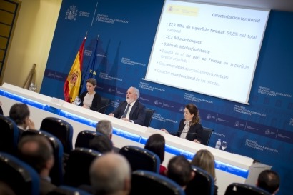 Mucha bioenergía en el plan forestal presentado por el Gobierno