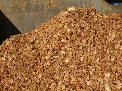 Murcia calcula su potencial de biomasa residual para usos energéticos