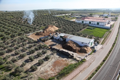 Producción de electricidad y hueso de aceituna, claves del empleo bioenergético en Andalucía