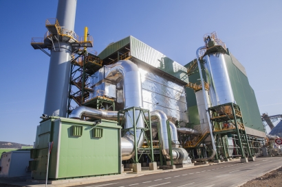Miteco: “La biomasa puede estar presente en la subasta de megavatios sin tecnología asociada”