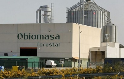 Biomasa Forestal: desde Galicia con calor