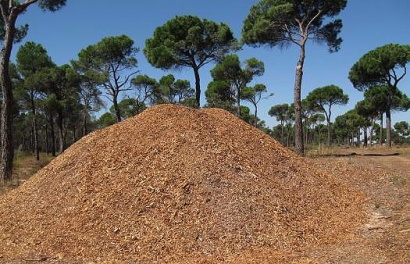 La comarca de Requena calentará sus instalaciones municipales con biomasa