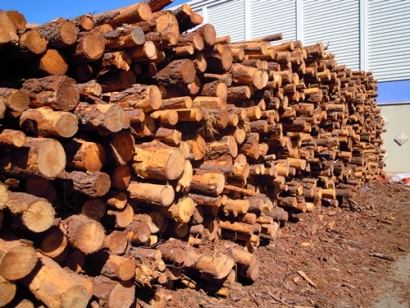 El sector forestal teme a la cascada de la biomasa; el maderero la desea