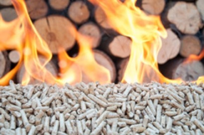 Navarra incrementa en un 23% el uso de biomasa forestal para calefacción