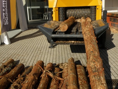 Hueco importante para el sector forestal en Expobiomasa