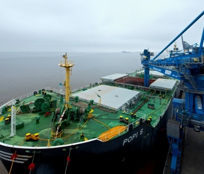 Récord mundial de importación de pélets en un solo carguero: 60.000 toneladas