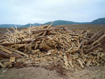 El Parlamento Europeo pide a la UE que ahonde en la producción sostenible de combustibles de madera