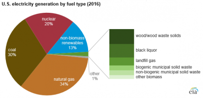 Los combustibles derivados de biomasa y residuos contribuyeron con el 2% a la generación eléctrica en 2016