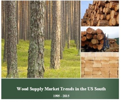 La exportación de pellets no es una amenaza para los bosques del sur