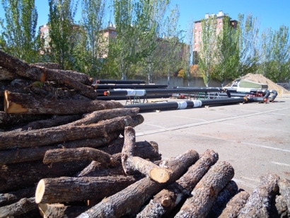 Expobiomasa mira al bosque y a la industria agroalimentaria en su inauguración