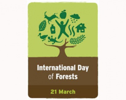 La biomasa está presente en el Día Internacional de los Bosques