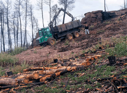 La bioenergía puede (y debe) contribuir a la reducción de incendios