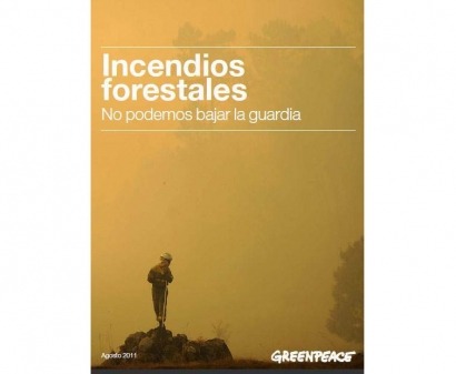 Greenpeace apuesta por la bioenergía para no bajar la guardia ante los incendios