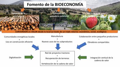 Castilla y León apoya un proyecto contra la despoblación en Soria que cuenta con la biomasa