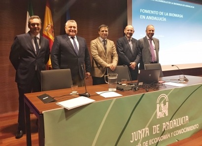 Más de la tercera parte de la energía renovable andaluza es biomasa