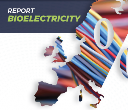 La UE superó en 2017 los 40.000 megavatios eléctricos con biomasa