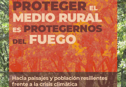 Greenpeace ve un papel limitado para la bioenergía en la transición hacia un 100% renovable