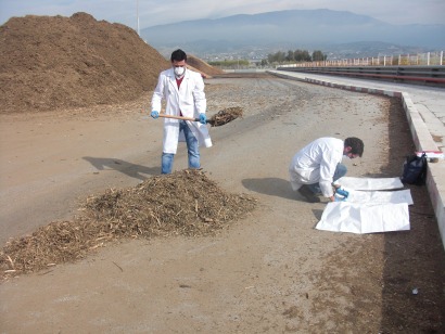 Italia, primer destino de biomasa residual del olivar acreditada en el CTAER