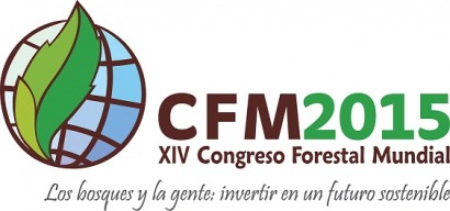 El Congreso Forestal Mundial habla de bioenergía.
