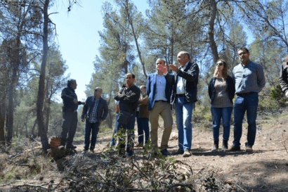 Echa a andar el plan especial para la biomasa en montes públicos de la Región de Murcia