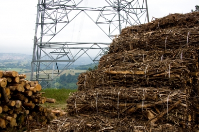 El TSJ de Aragón y el Gobierno abren la puerta a nuevas centrales de biomasa