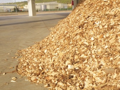 Cuatro millones para la biomasa forestal en el programa de desarrollo rural de Castilla y León