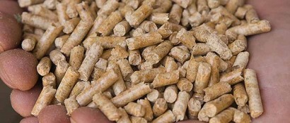 Se duplican las exportaciones de pellets de madera a Europa