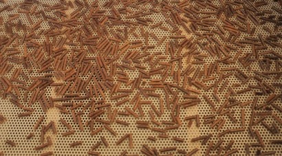 Record en 2015 de exportaciones de pellets de madera