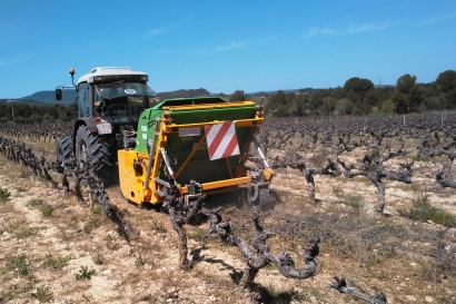 El Penedès, referente del vino y de la biomasa de la vid