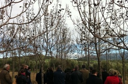 Proyecto europeo para sacarle mayor rendimiento a la biomasa forestal