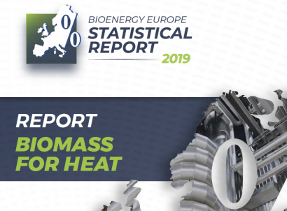 Casi el 87 por ciento del consumo de calor con renovables en Europa procede de la biomasa