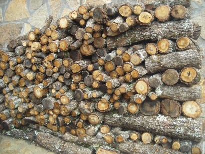 En Castilla y León “hay madera para todos” y “biomasa de sobra”