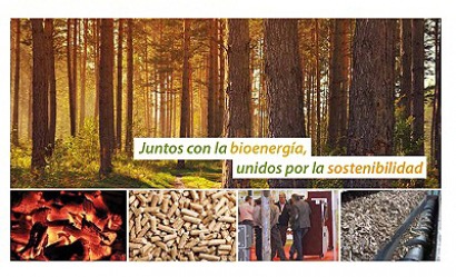 SI Bioenergía facilita el acceso a las ayudas de Proyectos Clima y PIMA empresa