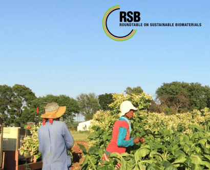 El esquema de certificación de biocarburantes RSB incluye el cambio indirecto del uso de tierras