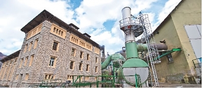 El grupo Neoelectra adquiere una planta de biomasa de 11 MW en Chile