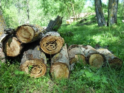 En exposición pública la planta de 50 megavatios de Forestalia en León