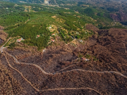 La CE permite que Portugal otorgue ayudas a nuevas plantas de producción de electricidad con biomasa