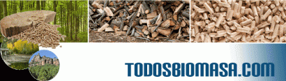 Todo sobre biomasa en Todosbiomasa.com